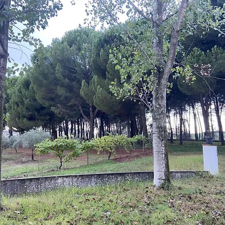 Tatil Evi Rachicor